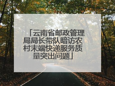 云南省邮政管理局局长带队暗访农村末端快递服务质量突出问题
