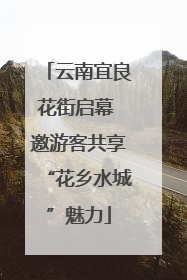 云南宜良花街启幕 邀游客共享“花乡水城”魅力