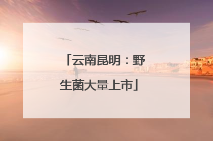 云南昆明：野生菌大量上市