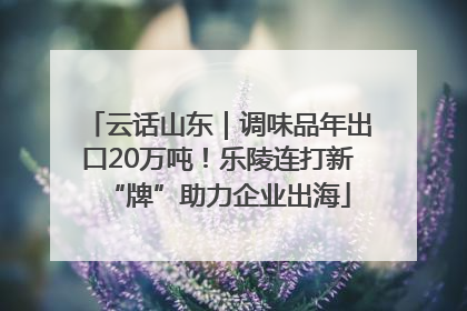 云话山东｜调味品年出口20万吨！乐陵连打新“牌”助力企业出海