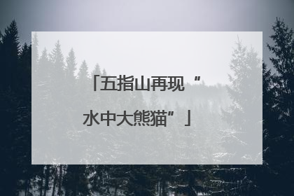 五指山再现“水中大熊猫”