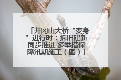 井冈山大桥“变身”进行时：拆旧建新同步推进 多举措保障汛期施工（图）