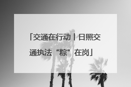 交通在行动丨日照交通执法“粽”在岗