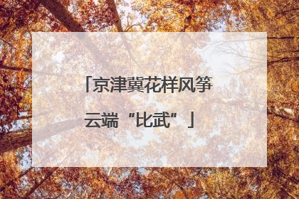 京津冀花样风筝云端“比武”
