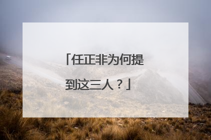 任正非为何提到这三人？