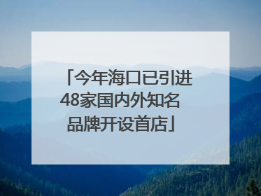 今年海口已引进48家国内外知名品牌开设首店