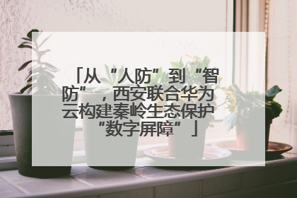 从“人防”到“智防”，西安联合华为云构建秦岭生态保护“数字屏障”