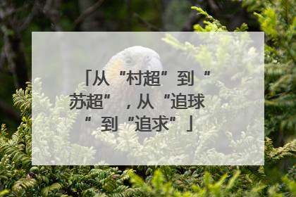 从“村超”到“苏超”，从“追球”到“追求”