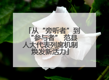 从“旁听者”到“参与者” 范县人大代表列席机制焕发新活力