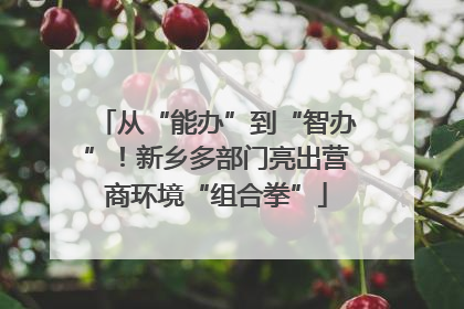 从“能办”到“智办”！新乡多部门亮出营商环境“组合拳”