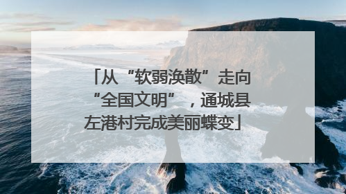 从“软弱涣散”走向“全国文明”，通城县左港村完成美丽蝶变