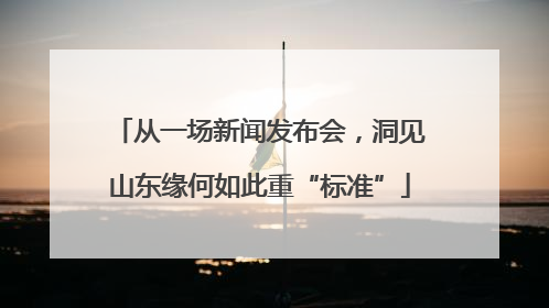 从一场新闻发布会，洞见山东缘何如此重“标准”