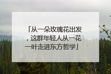 从一朵玫瑰花出发，这群年轻人从一花一叶走进东方哲学