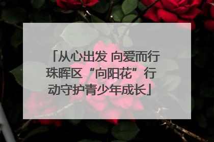 从心出发 向爱而行 珠晖区“向阳花”行动守护青少年成长