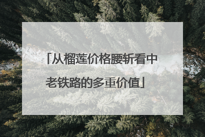 从榴莲价格腰斩看中老铁路的多重价值