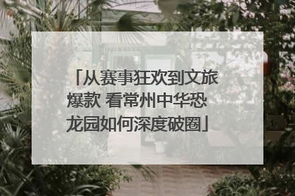 从赛事狂欢到文旅爆款 看常州中华恐龙园如何深度破圈