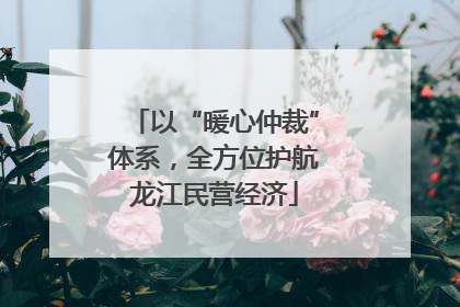 以“暖心仲裁”体系，全方位护航龙江民营经济