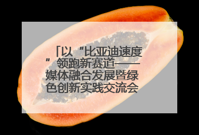 以“比亚迪速度”领跑新赛道——媒体融合发展暨绿色创新实践交流会首站走进比亚迪