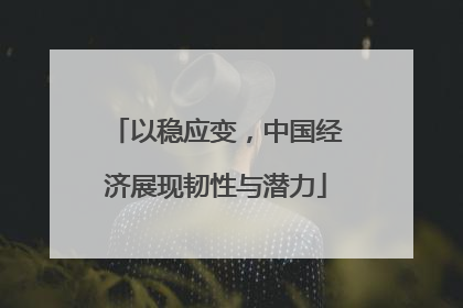 以稳应变，中国经济展现韧性与潜力