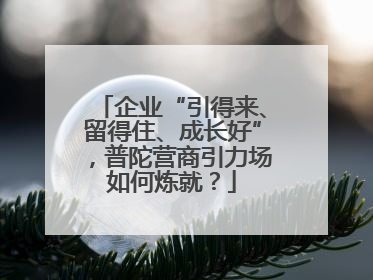 企业“引得来、留得住、成长好”，普陀营商引力场如何炼就？