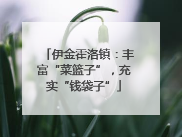 伊金霍洛镇：丰富“菜篮子”，充实“钱袋子”