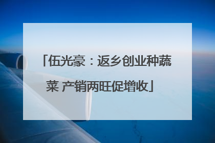 伍光豪：返乡创业种蔬菜 产销两旺促增收