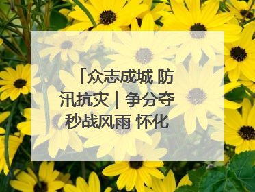 众志成城 防汛抗灾｜争分夺秒战风雨 怀化市全力以赴守护人民群众安全