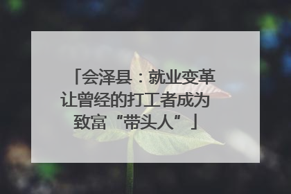 会泽县：就业变革让曾经的打工者成为致富“带头人”