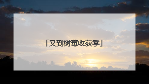 又到树莓收获季