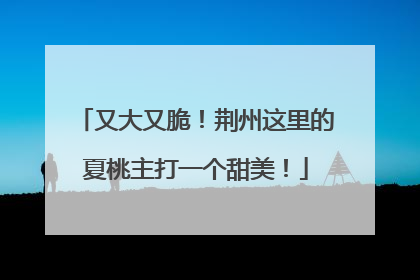 又大又脆！荆州这里的夏桃主打一个甜美！