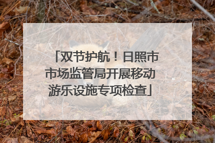 双节护航！日照市市场监管局开展移动游乐设施专项检查