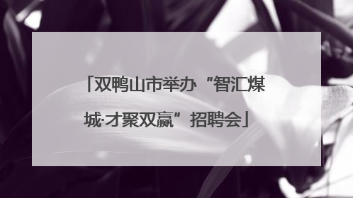 双鸭山市举办“智汇煤城·才聚双赢”招聘会