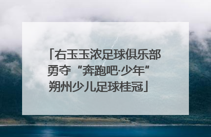 右玉玉浓足球俱乐部勇夺“奔跑吧·少年”朔州少儿足球桂冠