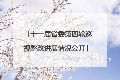 十一届省委第四轮巡视整改进展情况公开