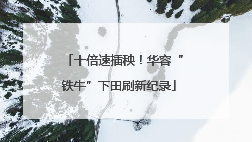 十倍速插秧！华容“铁牛”下田刷新纪录