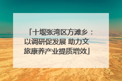 十堰张湾区方滩乡：以调研促发展 助力文旅康养产业提质增效