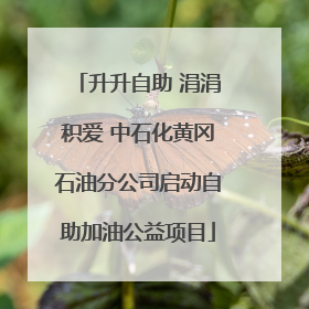 升升自助 涓涓积爱 中石化黄冈石油分公司启动自助加油公益项目