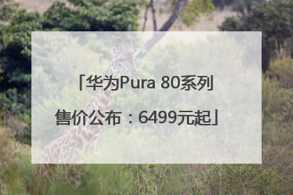 华为Pura 80系列售价公布：6499元起