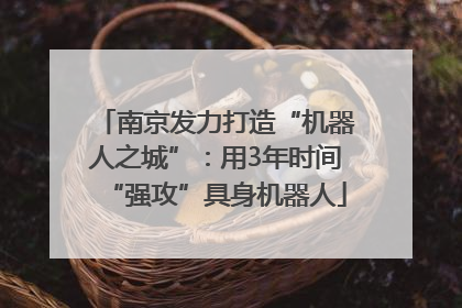 南京发力打造“机器人之城”：用3年时间“强攻”具身机器人