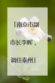 南京市副市长李晖，调任泰州
