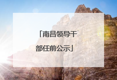 南昌领导干部任前公示