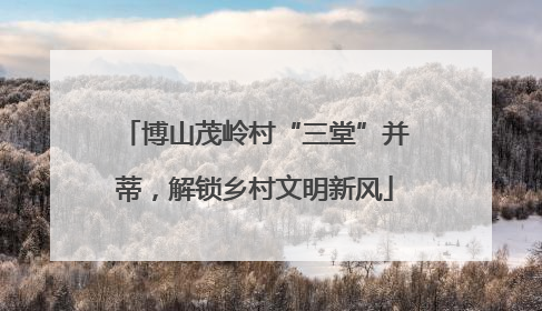 博山茂岭村“三堂”并蒂，解锁乡村文明新风