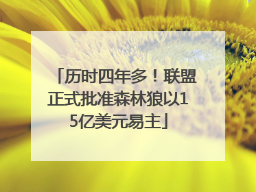 历时四年多！联盟正式批准森林狼以15亿美元易主