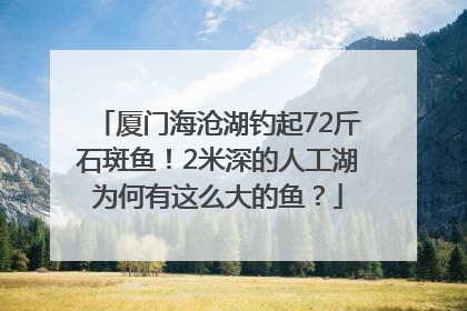 厦门海沧湖钓起72斤石斑鱼！2米深的人工湖为何有这么大的鱼？