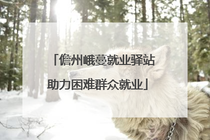 儋州峨蔓就业驿站助力困难群众就业