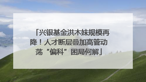 兴银基金洪木妹规模再降！人才断层叠加高管动荡“偏科”困局何解