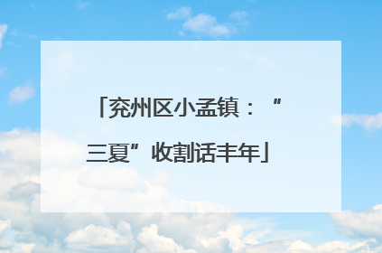 兖州区小孟镇：“三夏”收割话丰年