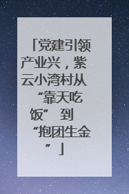 党建引领产业兴，紫云小湾村从 “靠天吃饭” 到 “抱团生金”