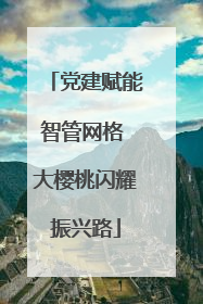 党建赋能智管网格 大樱桃闪耀振兴路