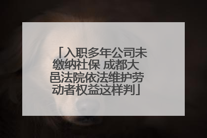 入职多年公司未缴纳社保 成都大邑法院依法维护劳动者权益这样判